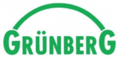 Grünberg - IT Consulting